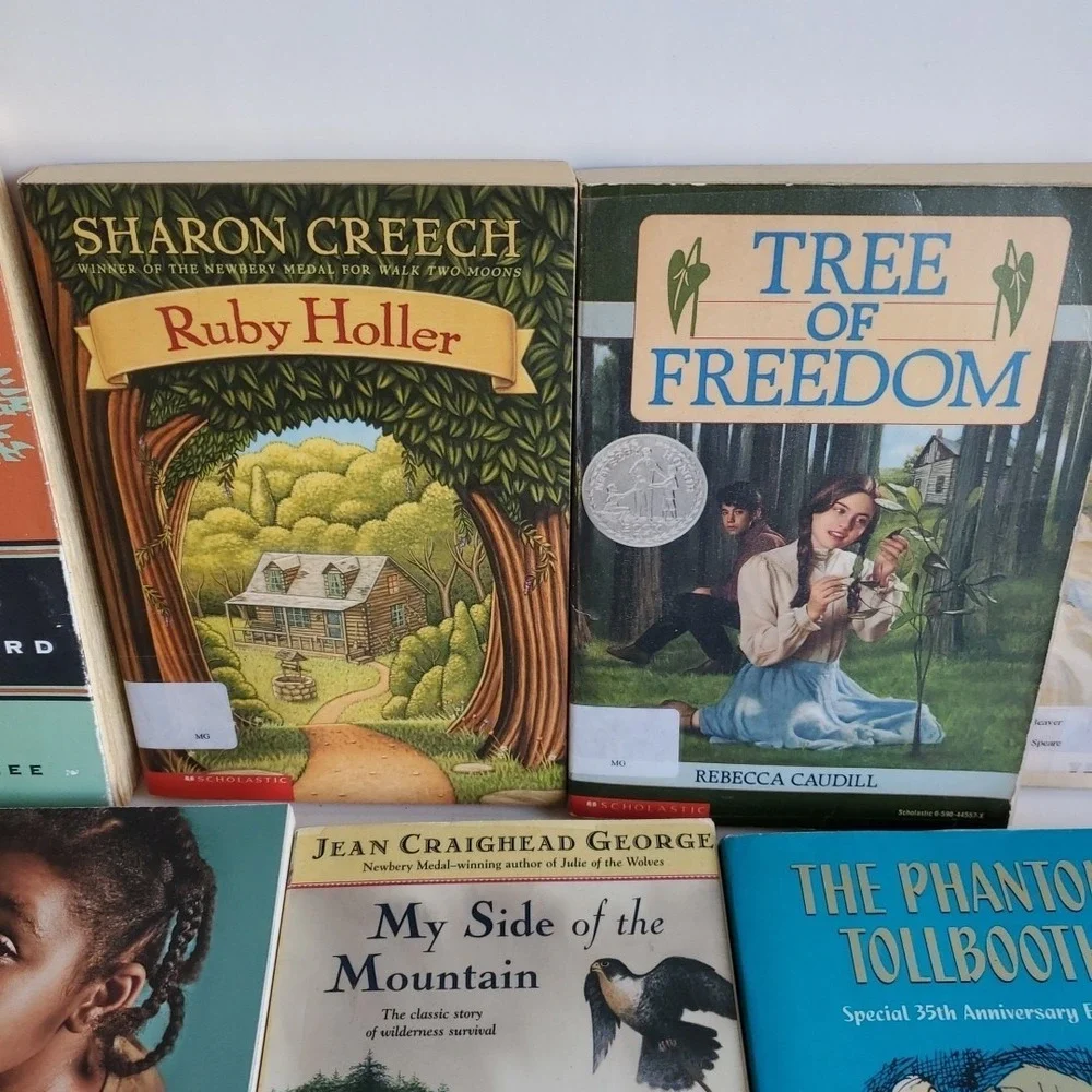 Lot of 22 Books Level 6/7 RL Misc Titles MIX Youth Teacher Library Homeschool